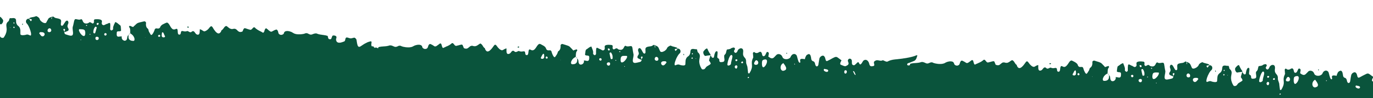 Footer graphic